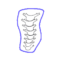 ActiveFamilyWellness  Sticker