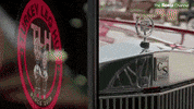 201 GIF by The Roku Channel