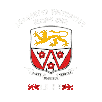 Field Hockey Bucs Sticker by Y1Hockey