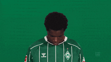 Werder Bremen GIF by Bundesliga