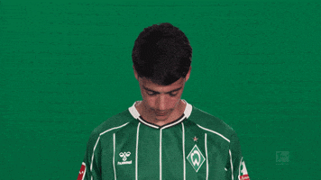 Werder Bremen GIF by Bundesliga