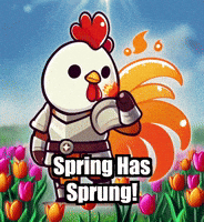 Flowers Spring GIF by Zorooster