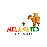 MelanatedSafaris lion africa tanzania melanated Sticker