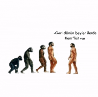 Erdogan Chp GIF