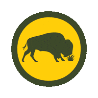 Buffalo Sticker by Bison Botanics