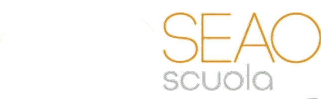 Seaoscuola giphyupload Sticker