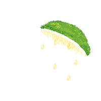 Orange Fruit Sticker