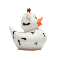 ouivisuals duck ducks oui film camera Sticker