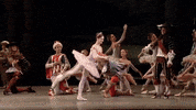 Royal Ballet GIF by Royal Opera House