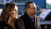 Nbc GIF by SVU