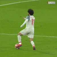 assist premier league GIF by Liverpool FC