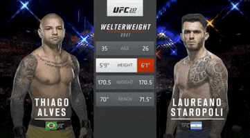 ufc sports sport ufc mma GIF
