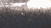 Confetti GIF by Coachella