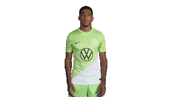 Hurry Up Football Sticker by VfL Wolfsburg