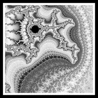 Loop Nft GIF by xponentialdesign