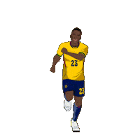 World Cup Football Sticker by SportsManias