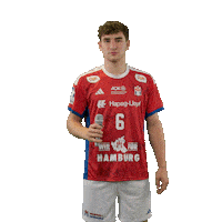 Handball Hamburg Sticker by DAIKIN HBL