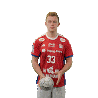 Handball Hamburg Sticker by DAIKIN HBL