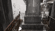 grave lisbon GIF by For 91 Days