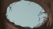 Diy Reaction GIF by HORNBACH