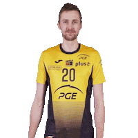 Happy Volleyball Sticker by PGE Skra Bełchatów