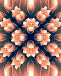 Art Morph GIF by Aleksey Efremov