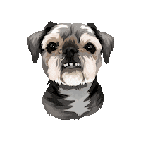 Scooterandmika Sticker by Pickle's Pawtraits