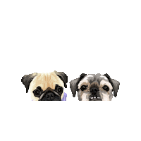 Dog Puppy Sticker by Pickle's Pawtraits