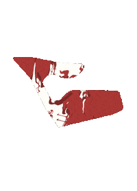 Racing F1 Sticker