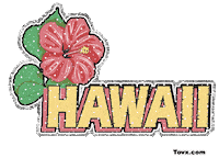 hawaii STICKER