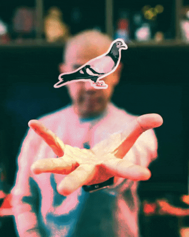 METCHA giphyupload bird nike dunk GIF