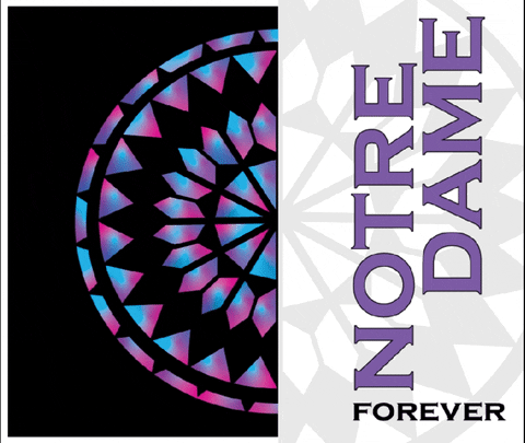 MichaelJDarling giphyupload GIF