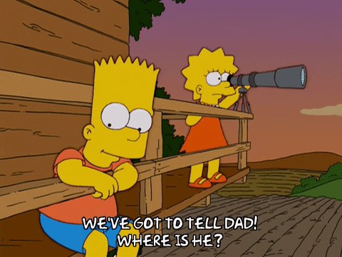 bart simpson telescope GIF