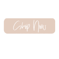 designstudio5 animated shop shop now peach Sticker