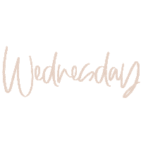 designstudio5 animated day wednesday peach Sticker