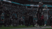 Football Celebration GIF by New England Patriots
