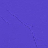 Video gif. Teddy Too-Big, a purple mascot bear, pops up as a trio and dances, while text appears above that says "you got this!"