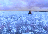 loves_in_vogue peter murphy GIF