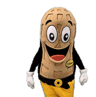 How Are You Hello Sticker by El Rincon