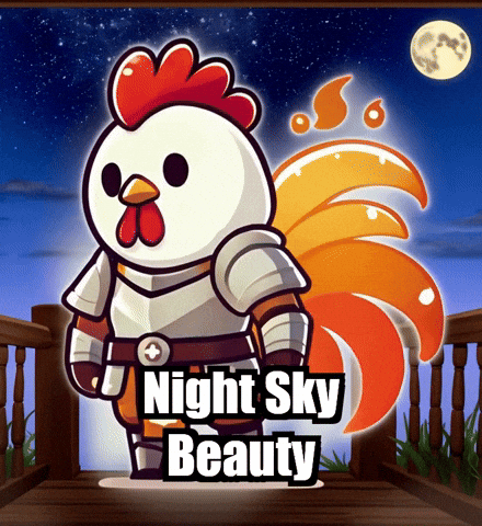 Stars Night GIF by Zorooster