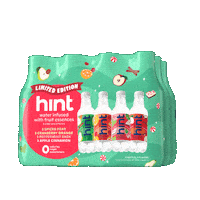 Limited Edition Seasonal Flavor Sticker by Hint