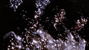 the band joseph planets GIF by Joseph