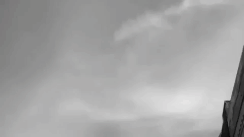 orange brooklyn GIF