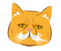 cat meow Sticker by Loughborough University