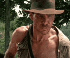 dushkebab indiana jones indianajones indyjo indy jo GIF