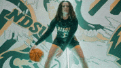 Ndsu Basketball GIF by NDSU Athletics