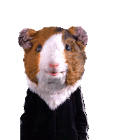 verkehrsverbundgrossraum_nbg yes good nice start Sticker