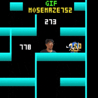 Maze 752 Mose GIF