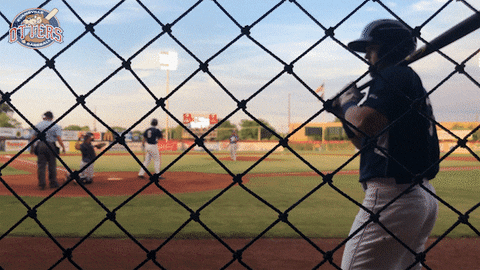 EvansvilleOtters giphyupload baseball swinging hitting GIF