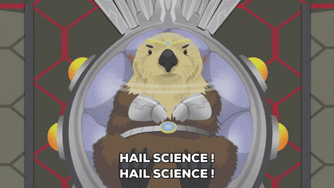 sea otter speech GIF by South Park 